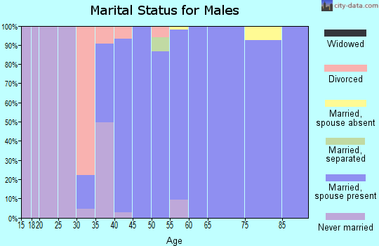 Zip code 03753 marital status for males