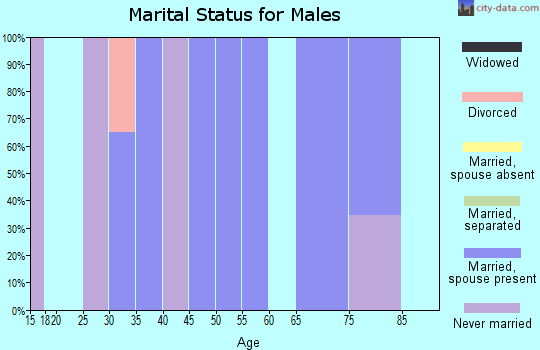 Zip code 03765 marital status for males