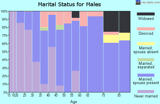 Zip code 03766 marital status for males