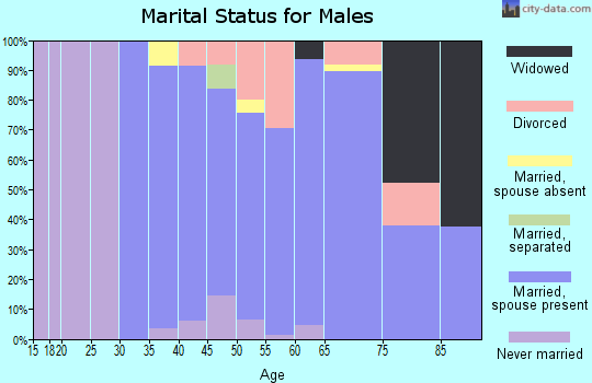 Zip code 03768 marital status for males
