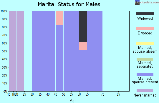 Zip code 03770 marital status for males