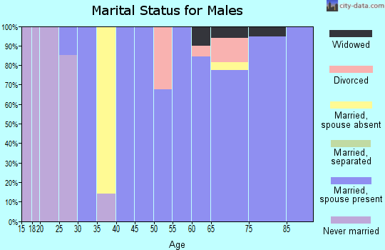 Zip code 03771 marital status for males