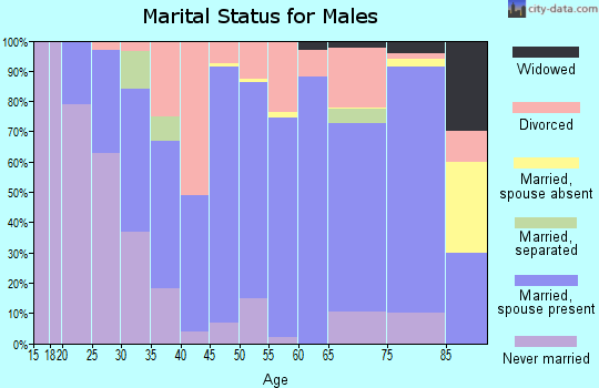 Zip code 03773 marital status for males