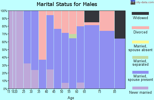 Zip code 03777 marital status for males