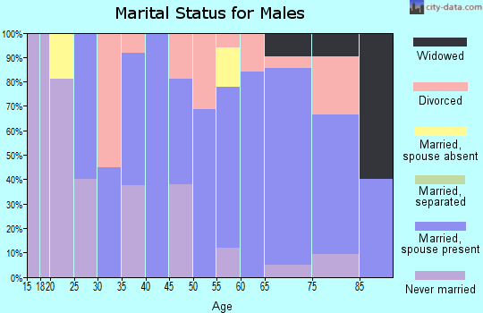 Zip code 03779 marital status for males