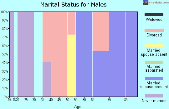 Zip code 03780 marital status for males
