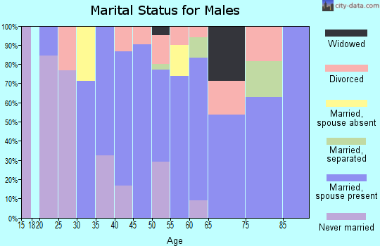 Zip code 03781 marital status for males