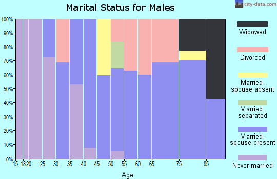 Zip code 03782 marital status for males