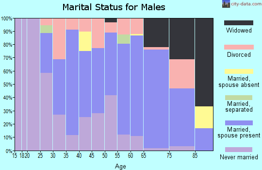 Zip code 03785 marital status for males