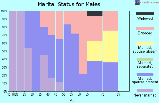 Zip code 03809 marital status for males