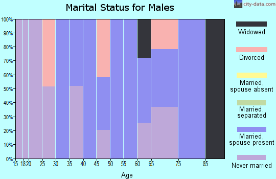 Zip code 03810 marital status for males