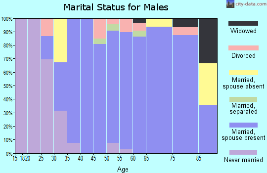 Zip code 03811 marital status for males