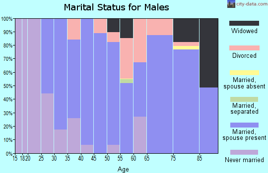Zip code 03813 marital status for males
