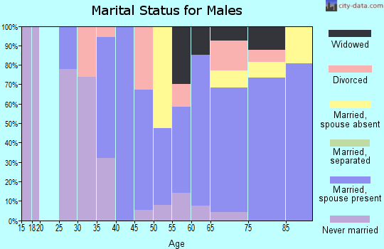 Zip code 03814 marital status for males