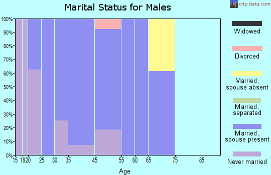 Zip code 03815 marital status for males