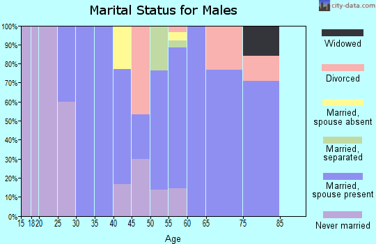 Zip code 03816 marital status for males