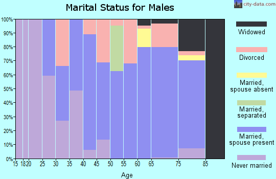 Zip code 03818 marital status for males