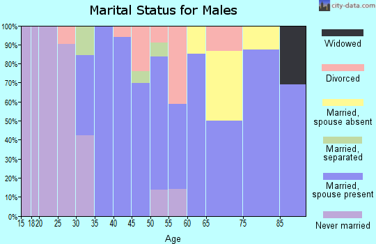 Zip code 03819 marital status for males
