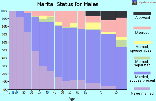 Zip code 03820 marital status for males