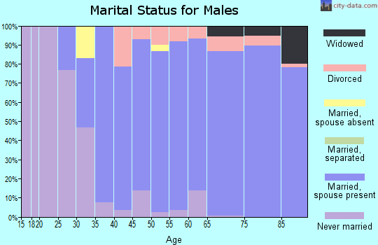 Zip code 03824 marital status for males