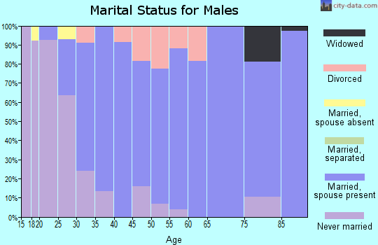 Zip code 03825 marital status for males