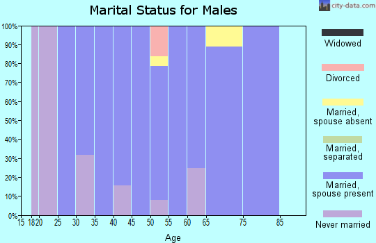 Zip code 03826 marital status for males