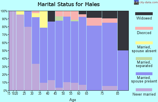 Zip code 03827 marital status for males