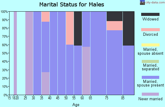 Zip code 03830 marital status for males