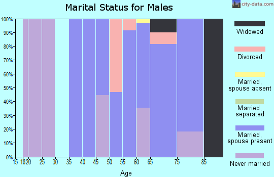 Zip code 03832 marital status for males