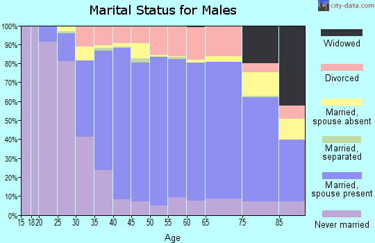 Zip code 03833 marital status for males