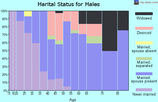 Zip code 03835 marital status for males