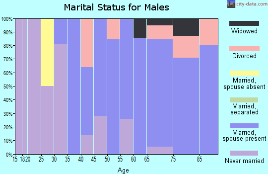 Zip code 03836 marital status for males