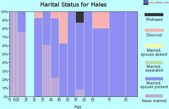 Zip code 03837 marital status for males