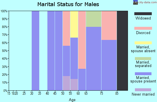 Zip code 03838 marital status for males