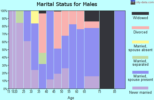 Zip code 03839 marital status for males