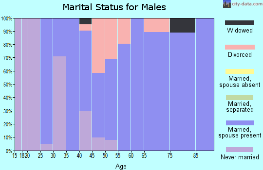 Zip code 03840 marital status for males