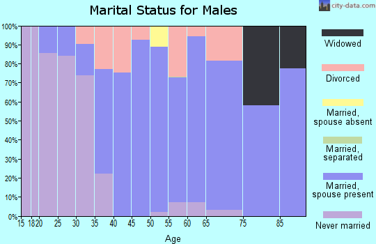 Zip code 03841 marital status for males