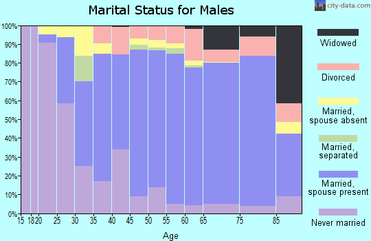 Zip code 03842 marital status for males