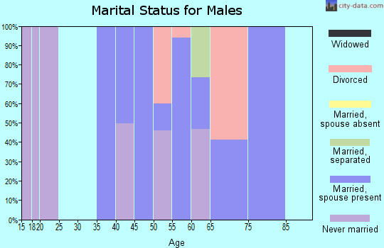 Zip code 03845 marital status for males