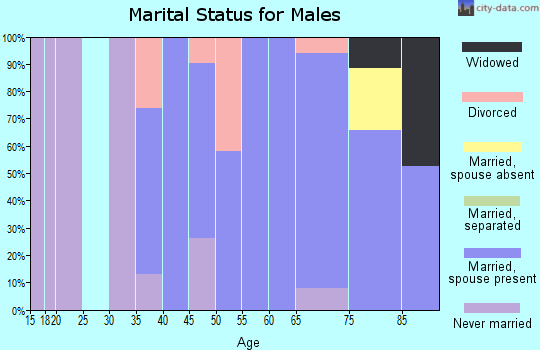 Zip code 03846 marital status for males