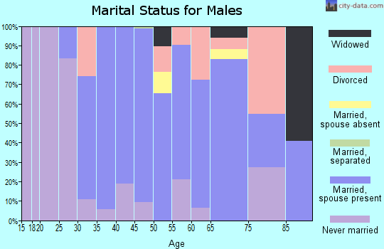 Zip code 03848 marital status for males