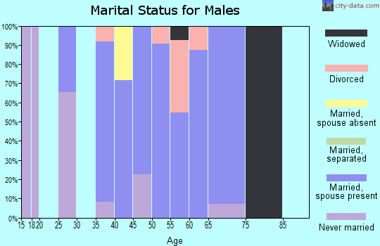 Zip code 03849 marital status for males