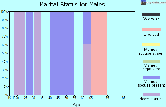 Zip code 03852 marital status for males