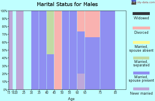 Zip code 03853 marital status for males