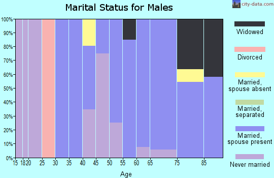 Zip code 03854 marital status for males