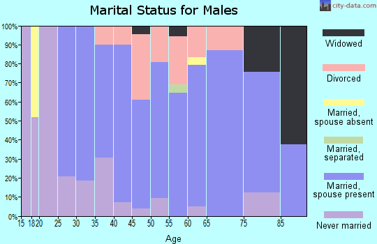 Zip code 03855 marital status for males