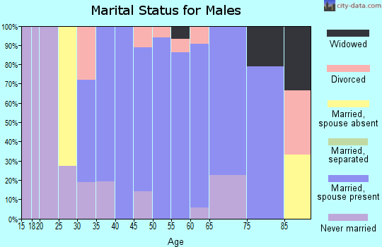 Zip code 03856 marital status for males