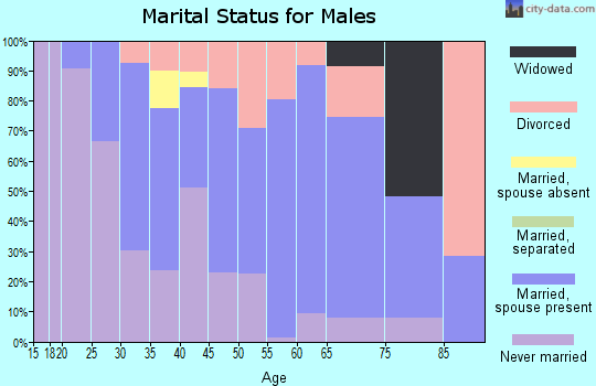 Zip code 03857 marital status for males