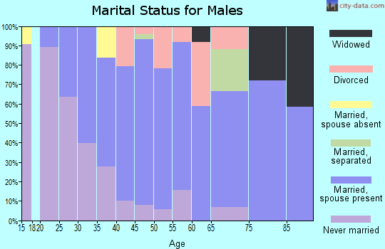 Zip code 03858 marital status for males