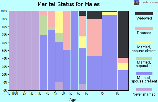 Zip code 03860 marital status for males